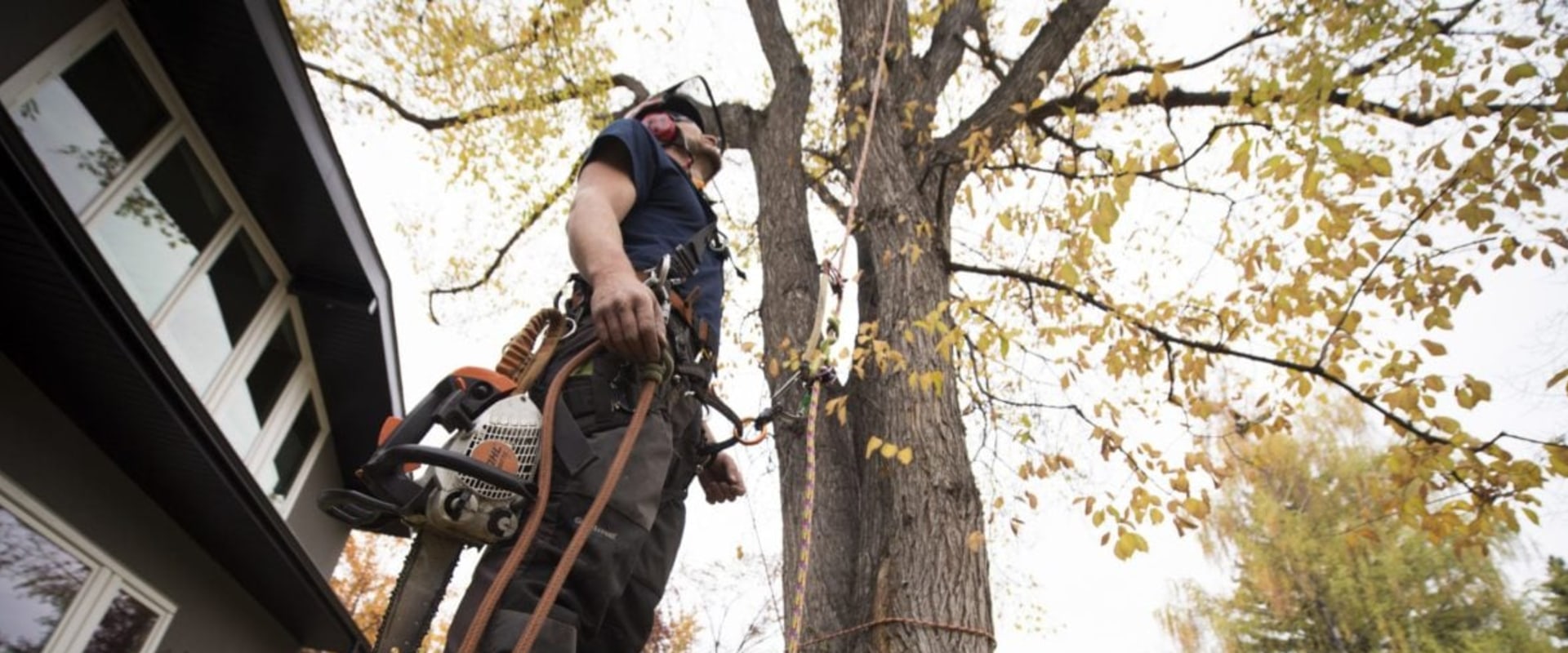 How To Keep Your Property Safe: Okolona, Kentucky Tree Maintenance Services Collaborate With Residential General Contracting