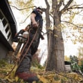 How To Keep Your Property Safe: Okolona, Kentucky Tree Maintenance Services Collaborate With Residential General Contracting