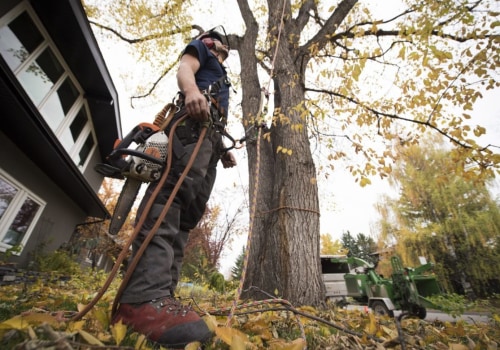 How To Keep Your Property Safe: Okolona, Kentucky Tree Maintenance Services Collaborate With Residential General Contracting